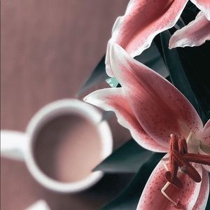 Meet your Posher, Kierra